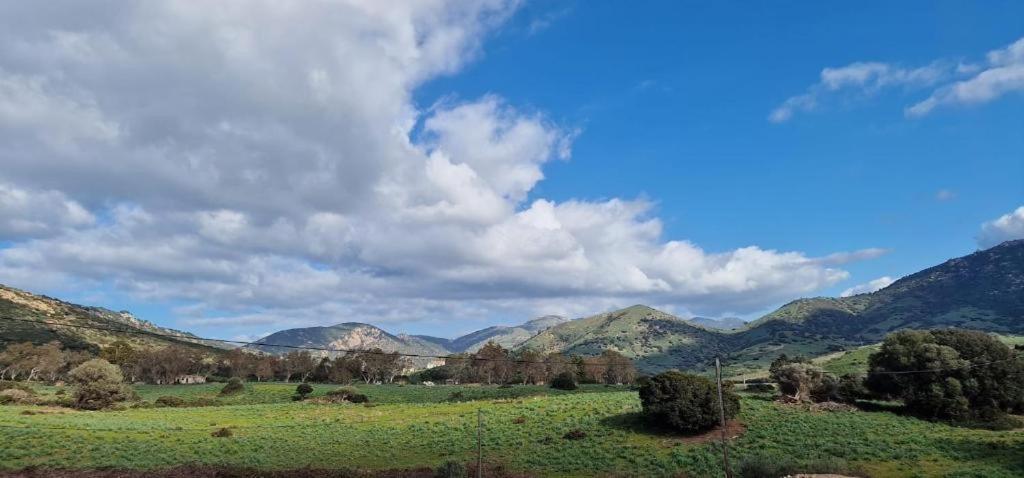 Ferienwohnung Les Collines De Lava Appietto Exterior foto