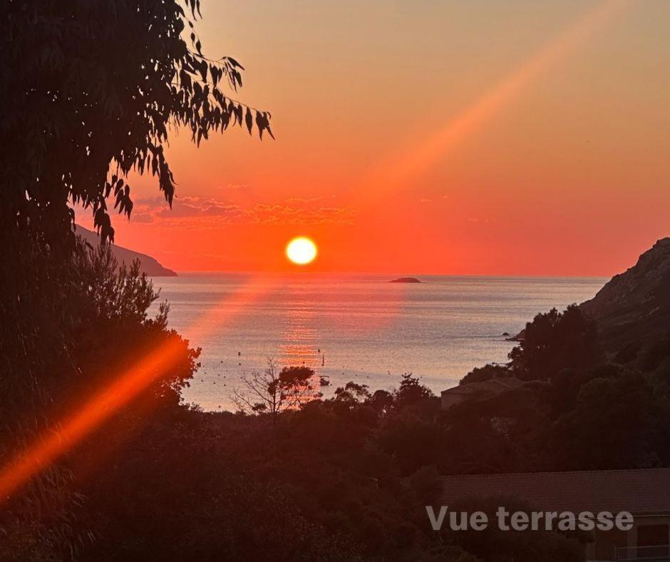 Ferienwohnung Les Collines De Lava Appietto Zimmer foto